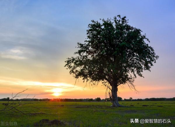 魯迅:奴才做了主人,他的擺架子,比他的主人還十足、還可笑 魯迅:奴才做了主人,他的擺架子,比他的主人還十足、還可笑