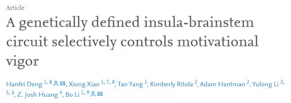 基礎科研 | 無心工作,只想放假!《Cell》:都是神經元的“鍋” 基礎科研 | 無心工作,只想放假!《Cell》:都是神經元的“鍋”