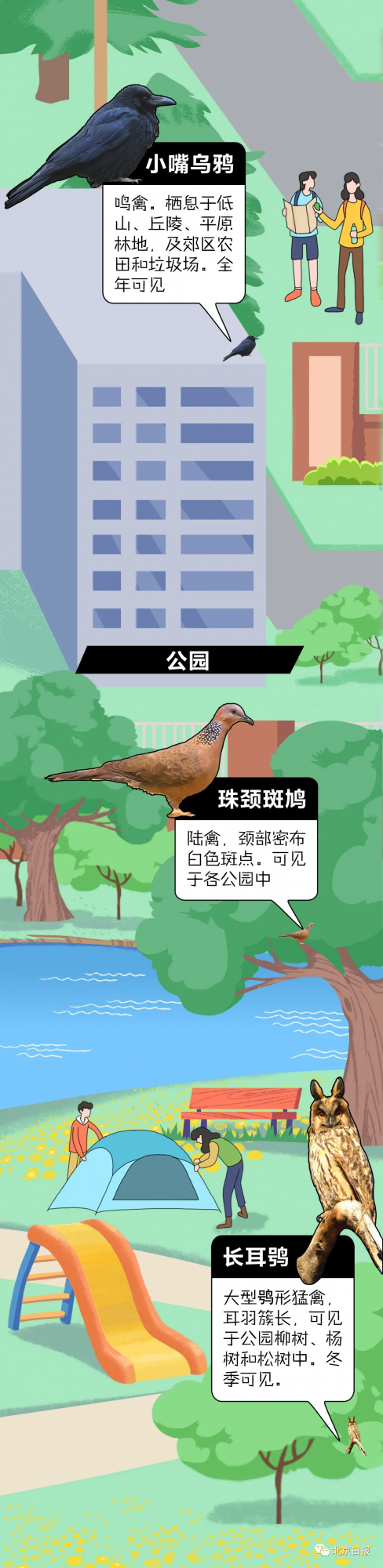 北 京 百 鳥 圖 鑑