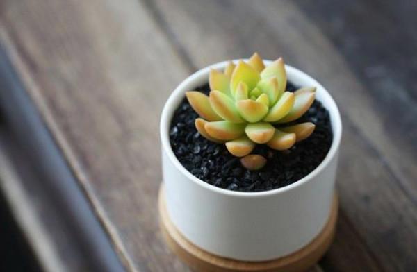 真正內心沉穩的人，很少說話