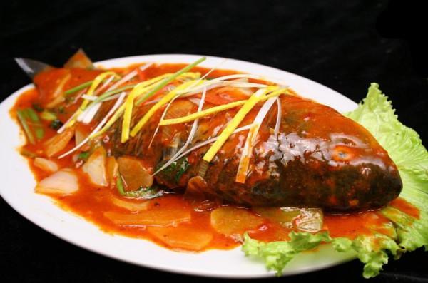 澳大利亞重金通緝一條鯉魚，懸賞500萬！這條鯉魚究竟做了什麼？