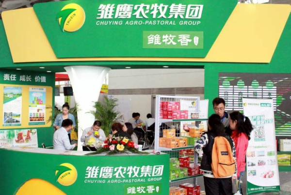 9個月虧15億，雛鷹農牧拿火腿還債，曾因無錢買飼料餓死200萬頭豬