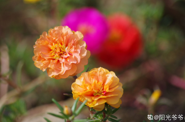 人到中年,4件事要看開,生活會越來越好 人到中年,4件事要看開,生活會越來越好