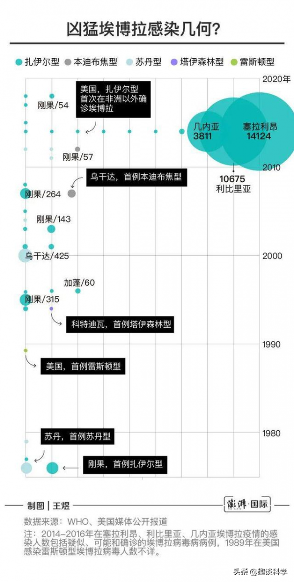 不要接近猴子！美國4只實驗用的猴子外逃，到底有多危險？