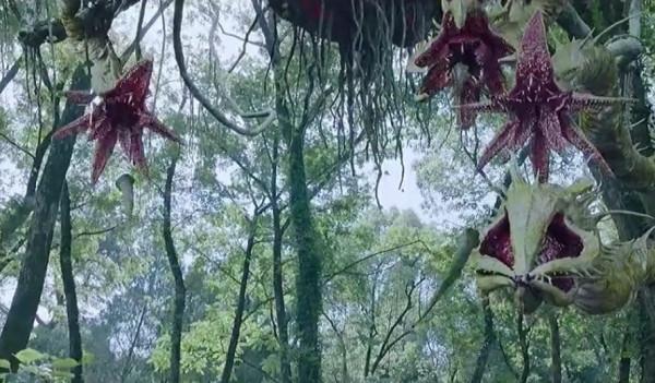 荒島？怪獸？《大蛇3：龍蛇之戰》一場腎上腺素飆升的絕地求生