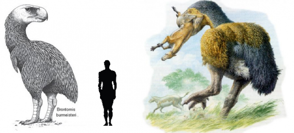 少了誰，地球都還是一樣轉：幾種滅絕了的大型生物