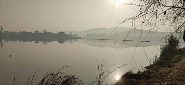 喻家湖的水鳥消失了？