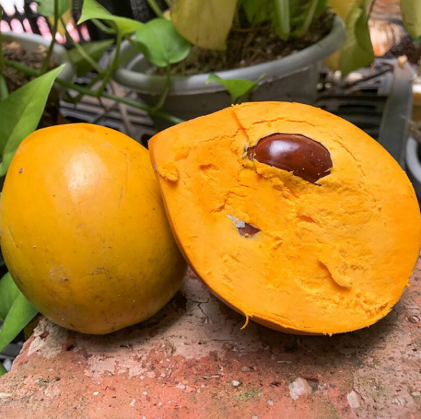 一畝田釋出水果新品種報告：紅肉蘋果、粉紅菠蘿等22個新品種入選