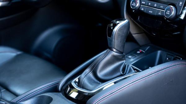 能幫你開車,又聽話 遇上逍客你就是主人 能幫你開車,又聽話 遇上逍客你就是主人