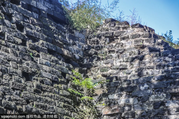 門票？不存在的！北京這些免費遺址公園，您都去過？