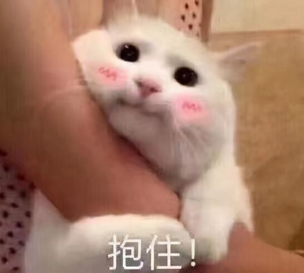 環球影城究竟有什麼魅力？能讓明星扎堆去