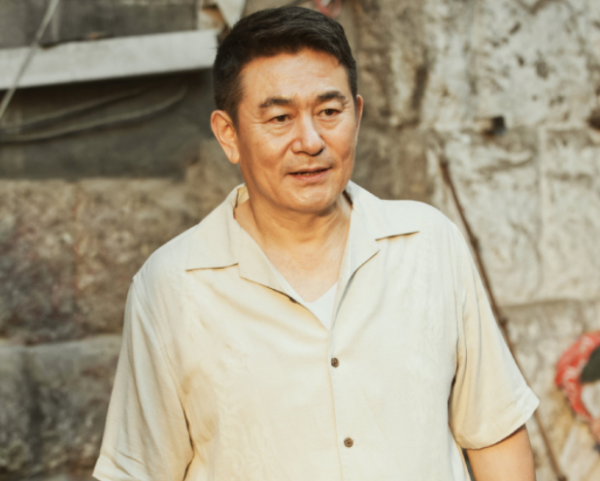 《人世間》還在爆，央視又一大劇定檔！王海燕主演，或成開年劇王