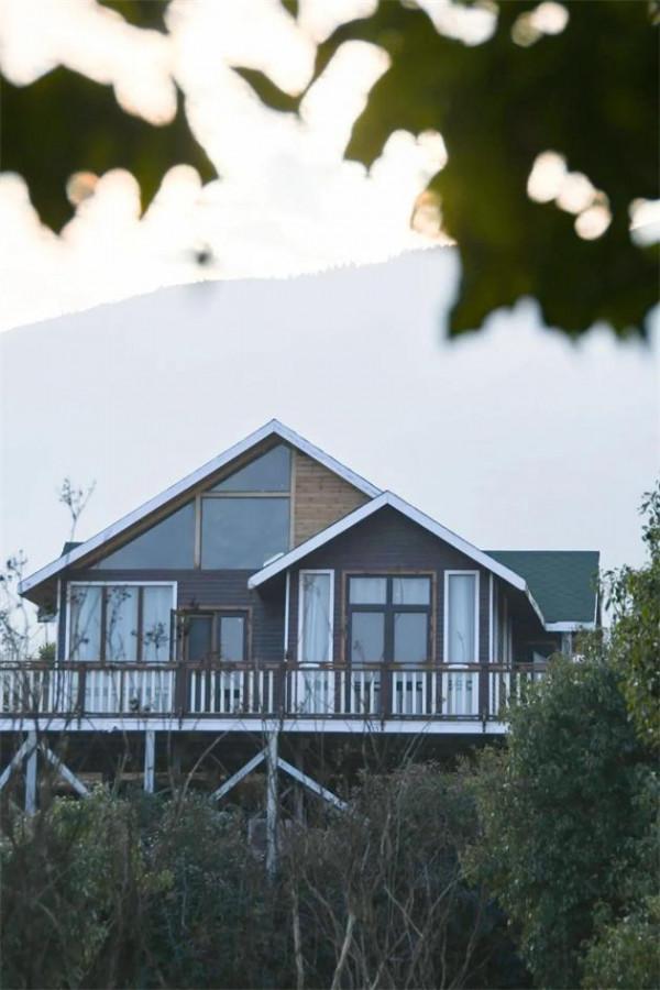 旅行是對平淡生活的一次越獄——《海廬茶博園》