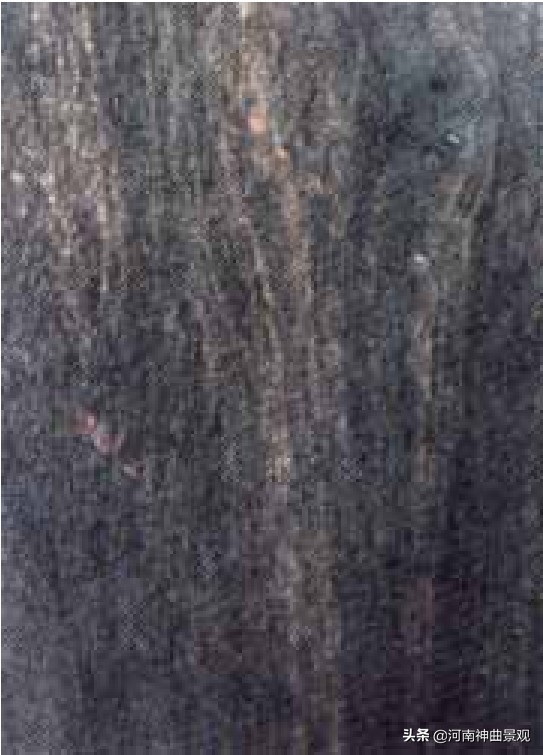 如何辨識明代傢俱木材新解全集(傢俱14) 如何辨識明代傢俱木材新解全集(傢俱14)