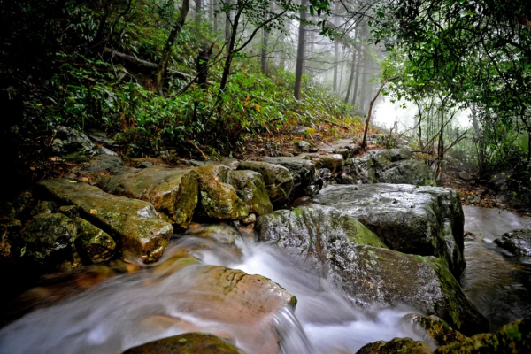 【徒步遊記】關於吳越古道,一份保姆級遊玩攻略送給您! 【徒步遊記】關於吳越古道,一份保姆級遊玩攻略送給您!