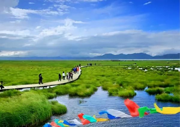 本是一名漢族女紅軍卻只會說藏語，她是誰？又經歷過怎樣的人生？