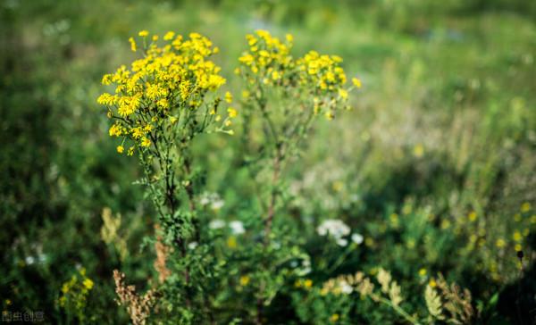 退休後，要保持活到老學到老的心態，不要太依賴別人