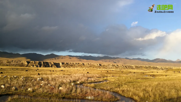 55歲央企管理人員，隨心出發，從1.4L小車開始，16年自駕20萬公里