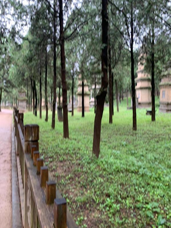 退休了,走出去,祖國的大好河山瀏覽一下享受風和自由 退休了,走出去,祖國的大好河山瀏覽一下享受風和自由