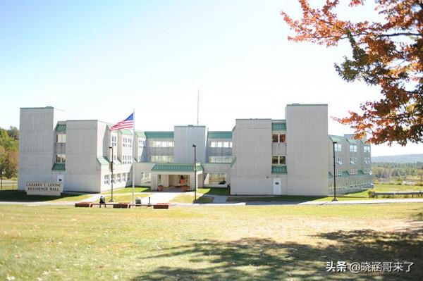 三胞胎實驗，出生就被分開放入不同的家庭，後來的人生有何不同？