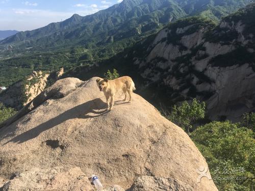 北京鳳凰嶺，風上水的地理優勢，使之享有京城&OpenCurlyDoubleQuote;綠肺&rdquo;之稱