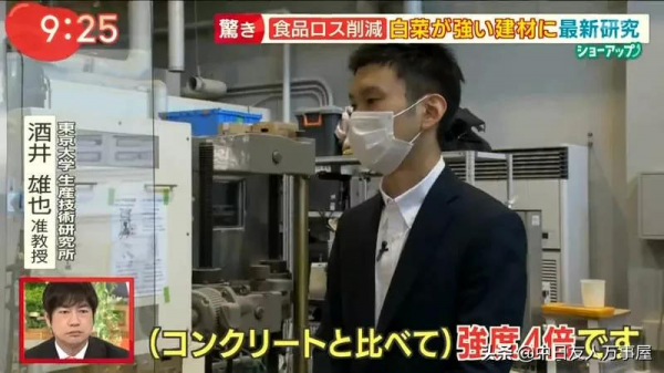 用白菜蓋房子，當作建材是混凝土的４倍，不但環保還可以拿來吃？