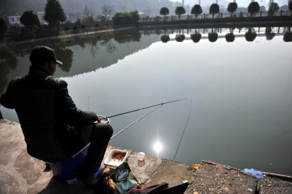 幾千斤魚被毒死，起因是魚塘主沒收了釣魚者的魚竿？誰的錯？