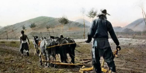 王震找縣長辦事被“耍官威”，上將葉飛得知後大怒：將其革職查辦