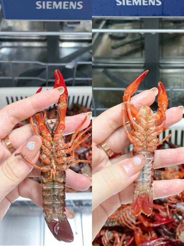 買時“肉疼”,用著“真香”!這4種智慧黑科技家電,幸福感倍增 買時“肉疼”,用著“真香”!這4種智慧黑科技家電,幸福感倍增