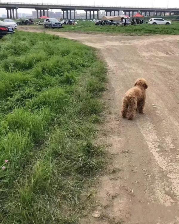 小紅書的網圖濾鏡，騙了多少人？