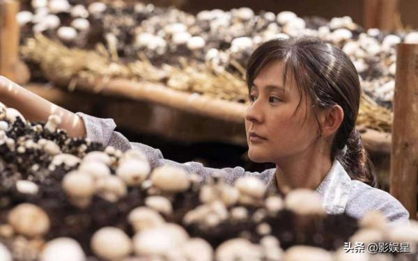 央視《人世間》即將來襲，雷佳音宋佳領銜主演，老戲骨雲集