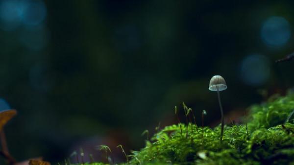 3天后，白羊座容易被傷害，付出沒有回報，在職場中處在上升期