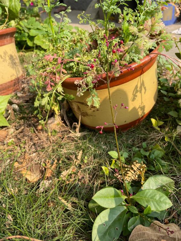 悠然自得的生活 悠然自得的生活