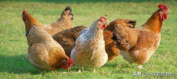 明天進入三九，記得給家人吃8種“營養劑”，合理冬補，平安過冬