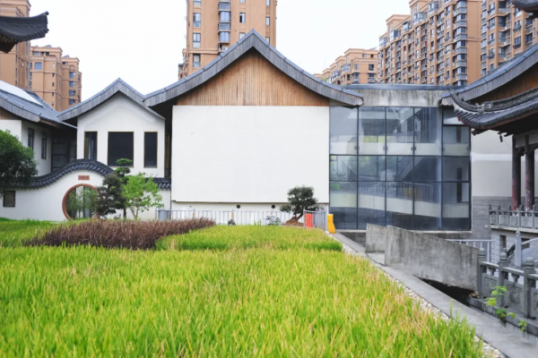 別再說什麼小京都了，寧波這些寺廟來打臉了