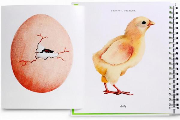 超級全面 建議收藏 12套中國風繪本盤點