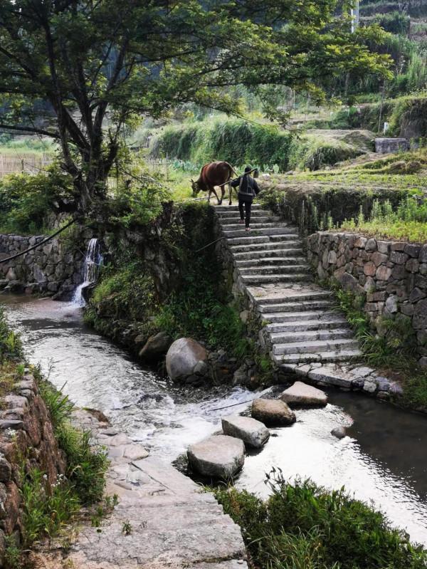 陳寅恪故里的風景(2021/06/05-07) 陳寅恪故里的風景(2021/06/05-07)