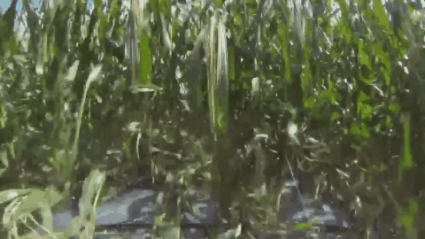 毀三觀!30張大片的特效照片:原來電影是這樣拍的 毀三觀!30張大片的特效照片:原來電影是這樣拍的