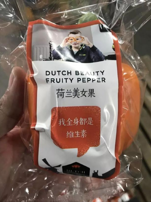 這就是荷蘭，帶你看看“最”真實的荷蘭