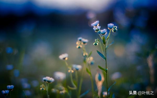 如果你感覺撐不下去了，不妨看看凌晨的朋友圈
