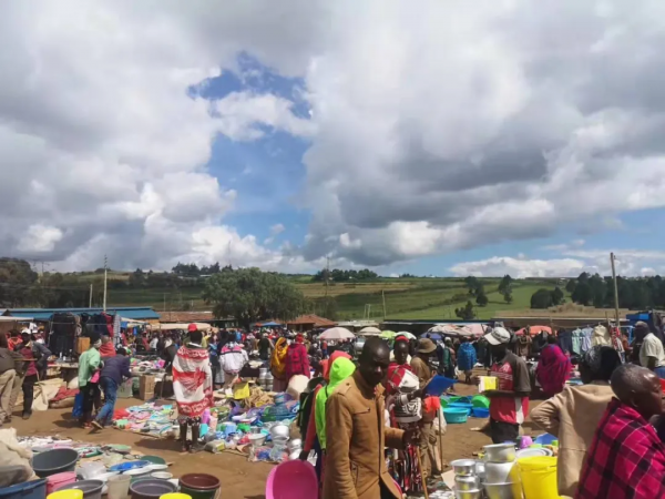 一個駐外女生和馬賽人的故事