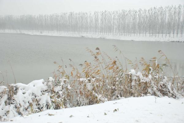 劉愛國：平山湖聽雪