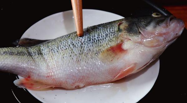 天冷碰到這魚別手軟，做上一道菜，暖胃又暖身，營養極高