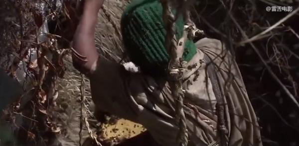 14歲少年爬100米懸崖採蜂蜜,給3個弟妹賺學費!紀錄片 14歲少年爬100米懸崖採蜂蜜,給3個弟妹賺學費!紀錄片