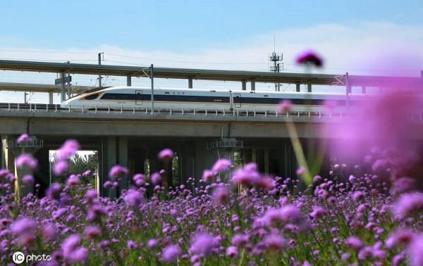 年度最佳 | 千龍網，2021年度回顧