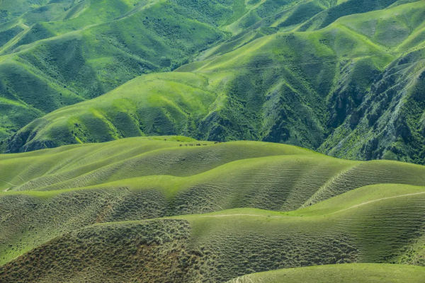 2021年，新疆非去不可，新疆怎麼玩，看完這一篇就夠了