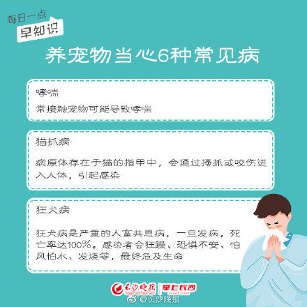 養寵物，你真的做好準備了嗎？