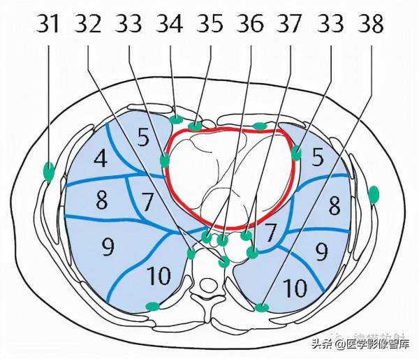 CT斷層解剖圖譜最全總結「推薦收藏」 CT斷層解剖圖譜最全總結「推薦收藏」
