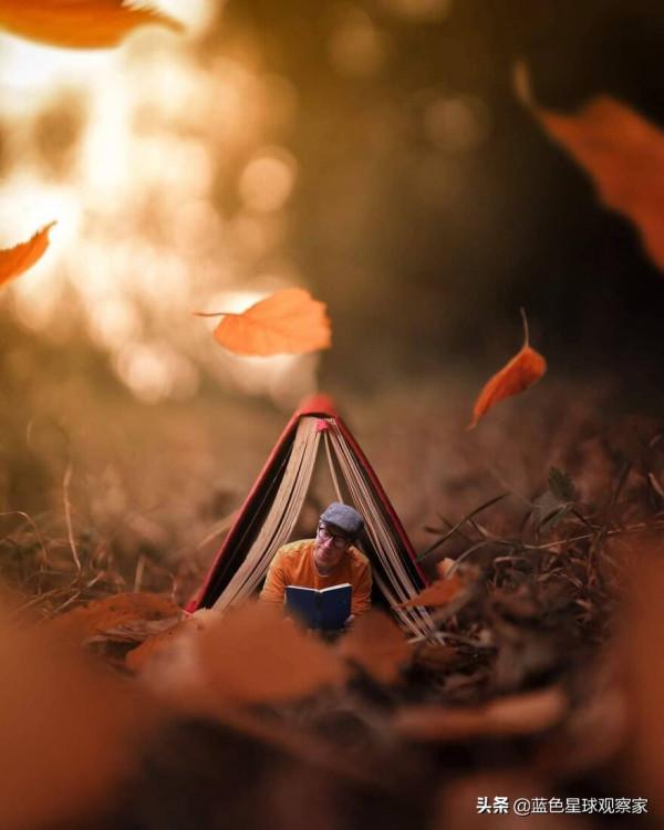 11月新鮮出爐,30張開啟孩子想象力的攝影作品 11月新鮮出爐,30張開啟孩子想象力的攝影作品