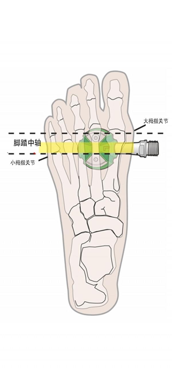 為自己設定一個舒適的騎行姿勢